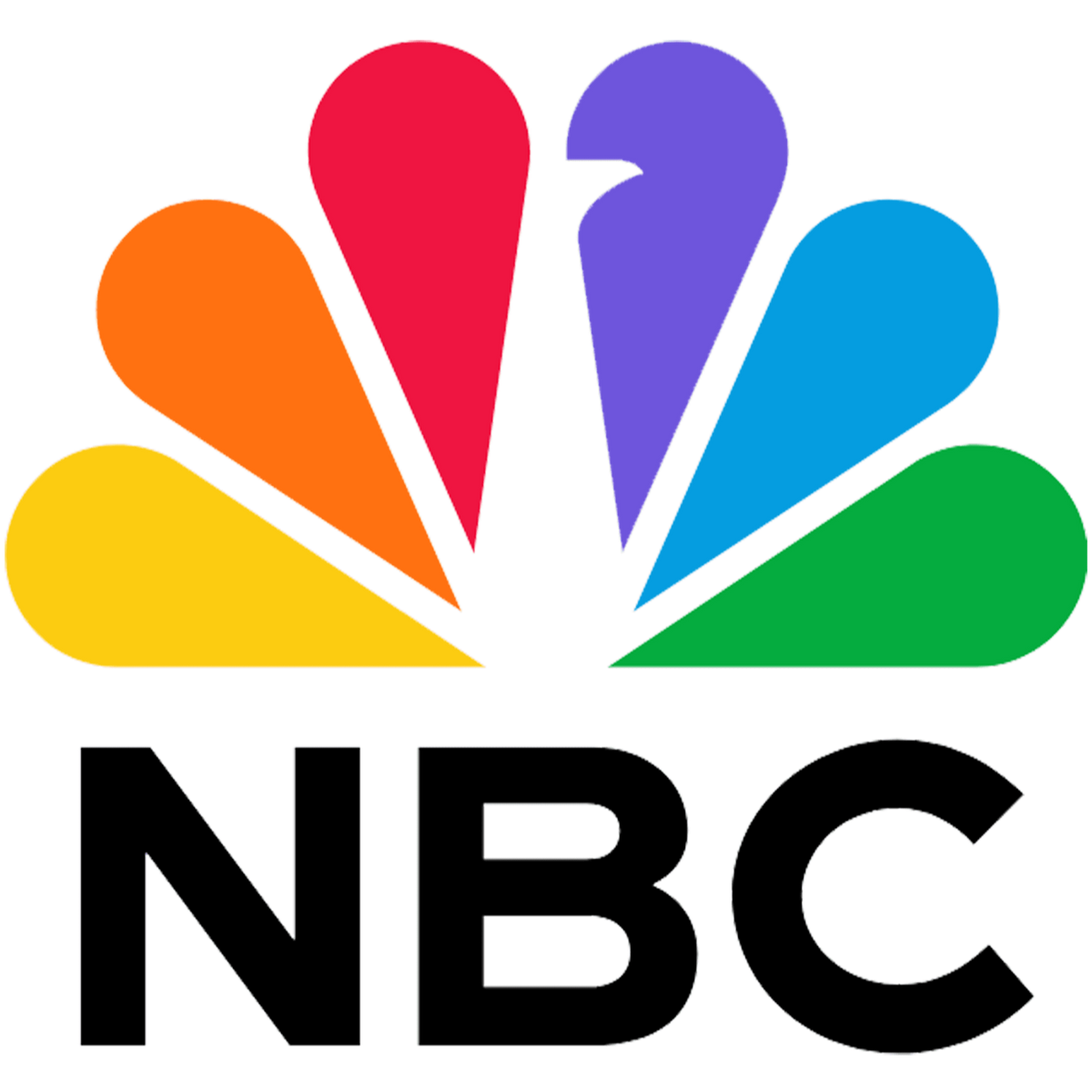 NBC logo with colorful fan-shaped design on a white background